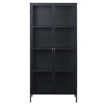 Dexter 2 Door Display Cabinet